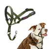 Muzzle Company of Animals FOREST Green 2