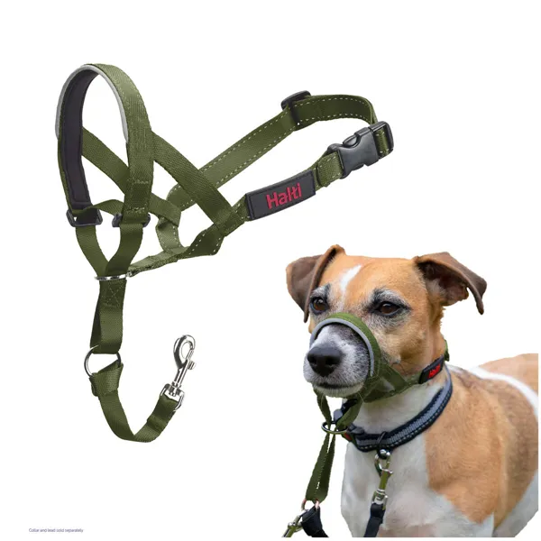 Muzzle Company of Animals FOREST Green 2