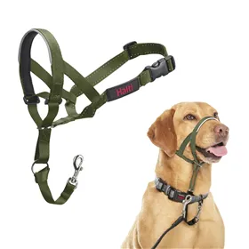 Muzzle Company of Animals FOREST Green 3