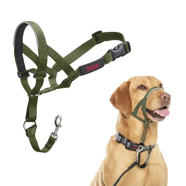 Muzzle Company of Animals FOREST Green 3