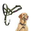Muzzle Company of Animals FOREST Green 3