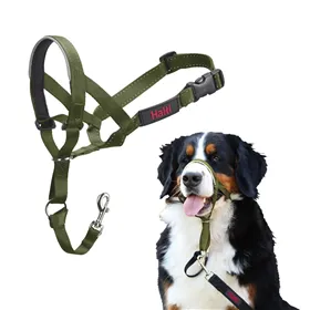 Muzzle Company of Animals FOREST Green 4