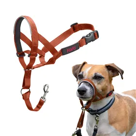 Muzzle Company of Animals BURNT Orange Size 1