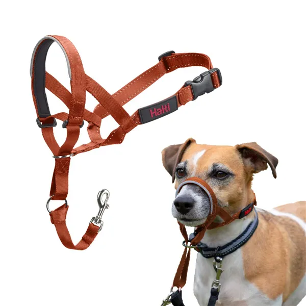 Muzzle Company of Animals BURNT Orange Size 1