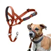Muzzle Company of Animals BURNT Orange Size 1