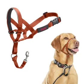 Muzzle Company of Animals BURNT Orange 3