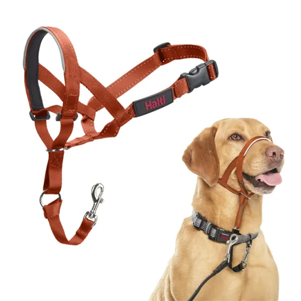 Muzzle Company of Animals BURNT Orange 3