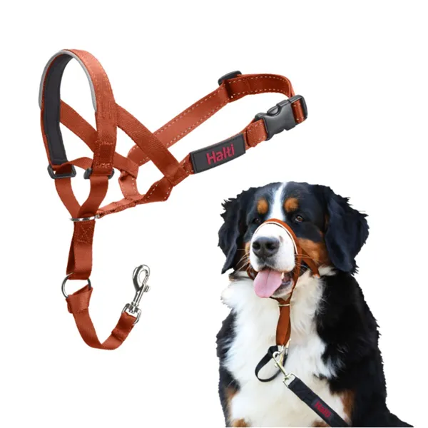 Muzzle Company of Animals BURNT Orange 4