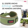 Dog collar Company of Animals Green
