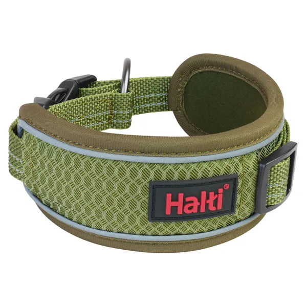 Dog collar Company of Animals Green