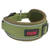 Dog collar Company of Animals Green