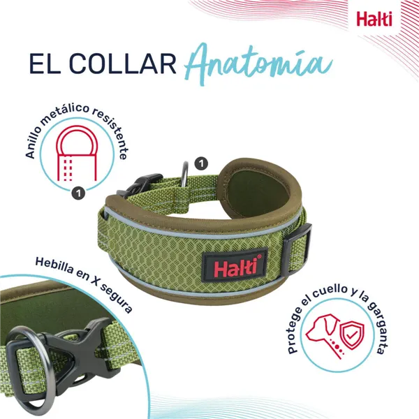 Dog collar Company of Animals Green