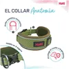Dog collar Company of Animals Green