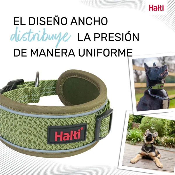 Dog collar Company of Animals Green