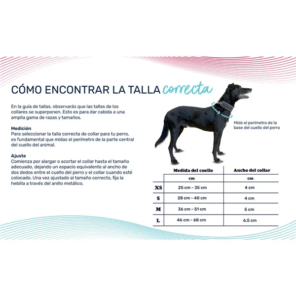Dog collar Company of Animals Grey