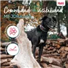 Dog collar Company of Animals Grey
