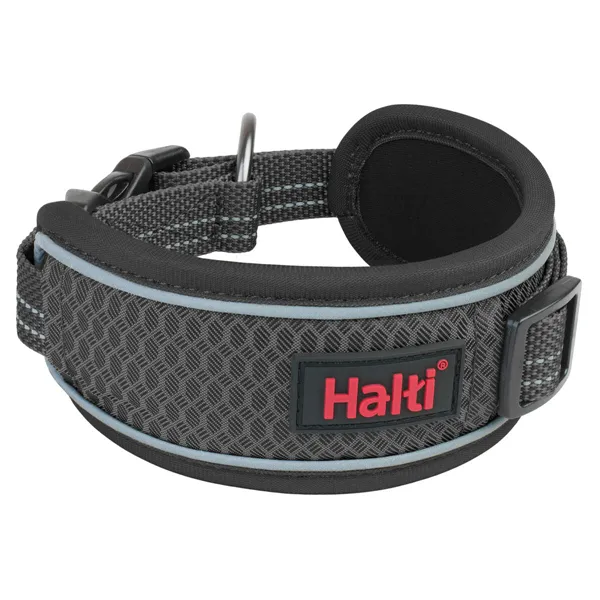 Dog collar Company of Animals Grey
