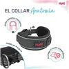 Dog collar Company of Animals Grey