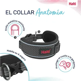 Dog collar Company of Animals Grey