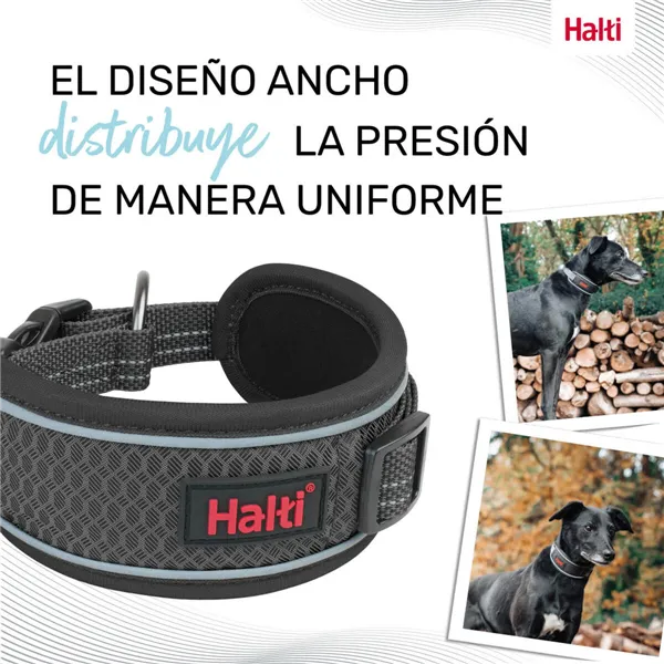 Dog collar Company of Animals Grey