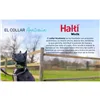 Dog collar Company of Animals Grey