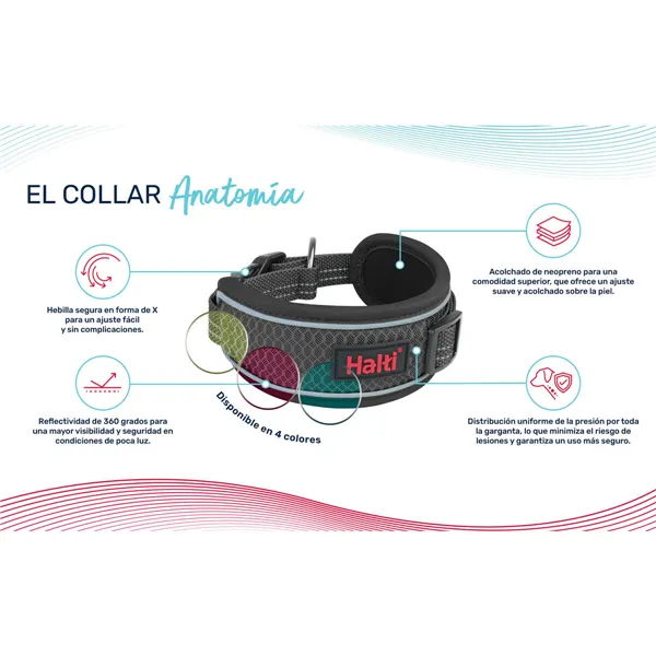 Dog collar Company of Animals Grey