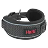 Dog collar Company of Animals Grey