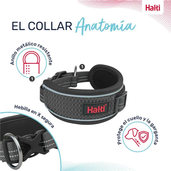 Dog collar Company of Animals Grey