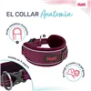 Dog collar Company of Animals