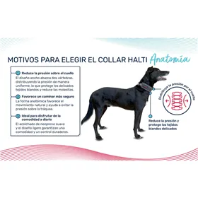 Dog collar Company of Animals