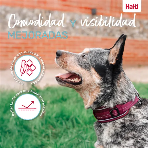 Dog collar Company of Animals
