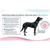 Dog collar Company of Animals Turquoise
