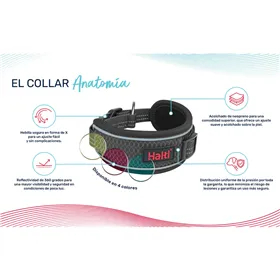 Dog collar Company of Animals Turquoise
