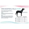 Dog collar Company of Animals Turquoise