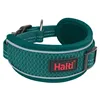 Dog collar Company of Animals Turquoise