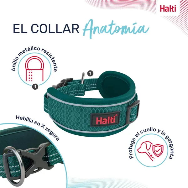 Dog collar Company of Animals Turquoise