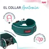 Dog collar Company of Animals Turquoise