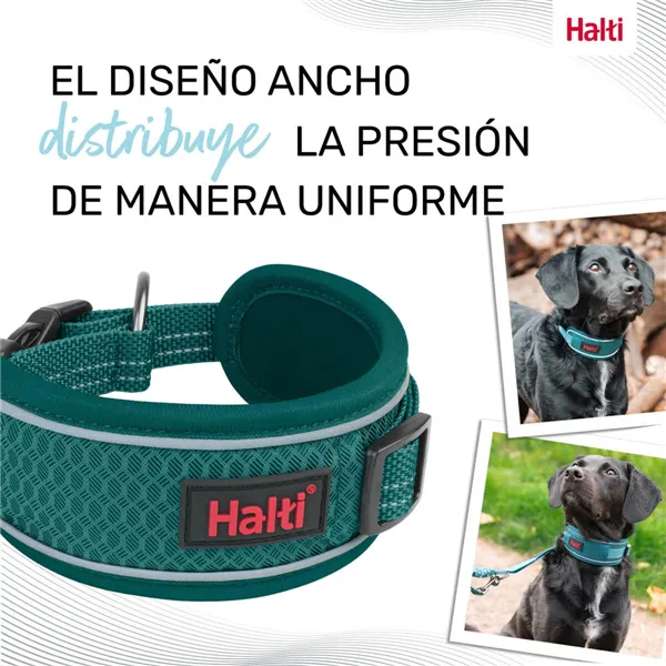 Dog collar Company of Animals Turquoise
