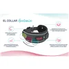 Dog collar Company of Animals Turquoise