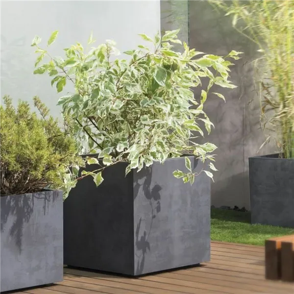 Plant pot Deroma