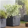 Plant pot Deroma