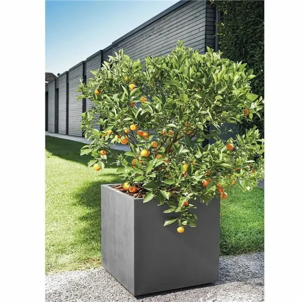 Plant pot Deroma