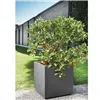 Plant pot Deroma