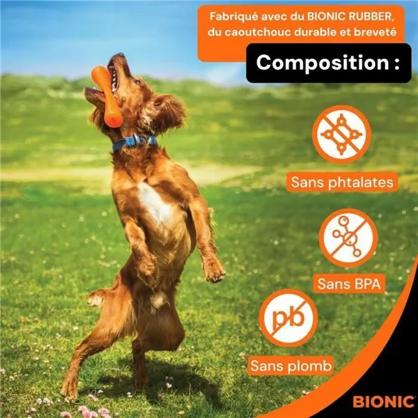 Dog chewing toy Bionic Urban stick Orange M
