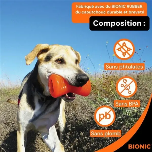 Dog chewing toy Bionic Urban stick Orange M Bone