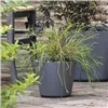 Plant pot Deroma