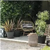 Plant pot Deroma