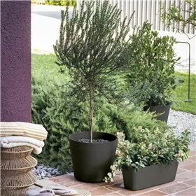 Подушка Медведь Плюшевый 35 x 29 cm Белый