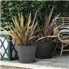 Flower Pot Dish Deroma