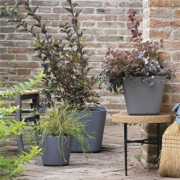 Plant pot Deroma